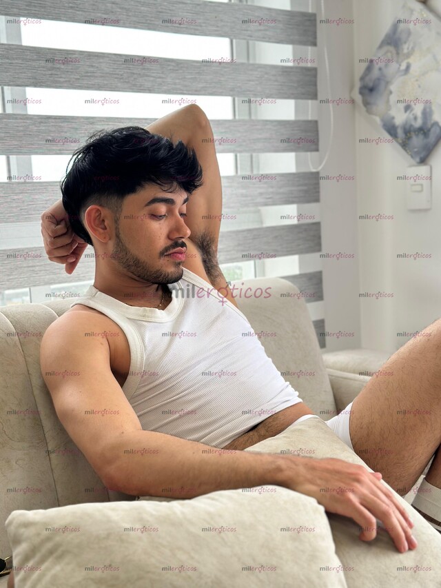 FOTOS DE LATINO VERGON VERSÁTIL DISPONIBLE EN LAURELES