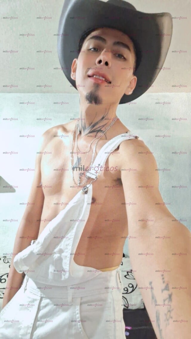 FOTOS DE SOY NUEVO TU CHACAL SERE MUY COMPLASIENTE