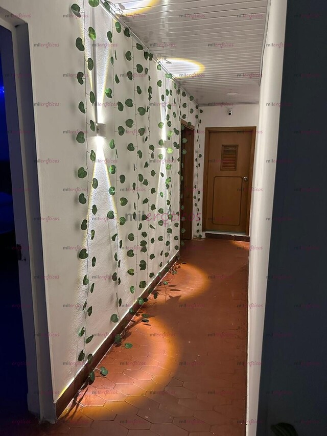 FOTOS DE LINDO RESERVADO BUSCA CHICAS EN PERDOMO PARA TRABAJAR COMO INDEPENDIENTES