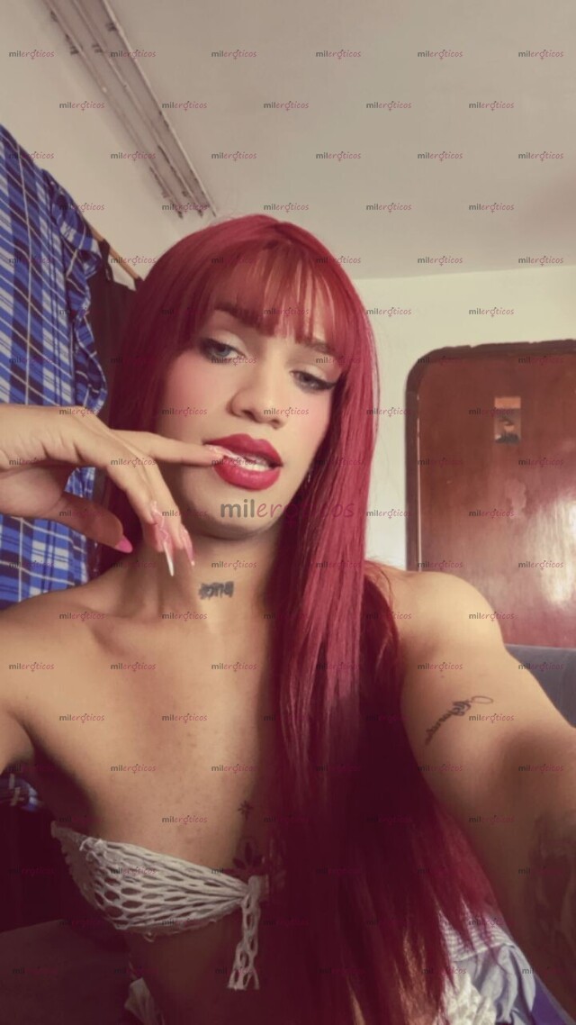 FOTOS DE HOLI SOY UNA CHICA TRANS MUY CALIENTE Y DIVERTIDA NO PERDAMOS EL TIEMPO