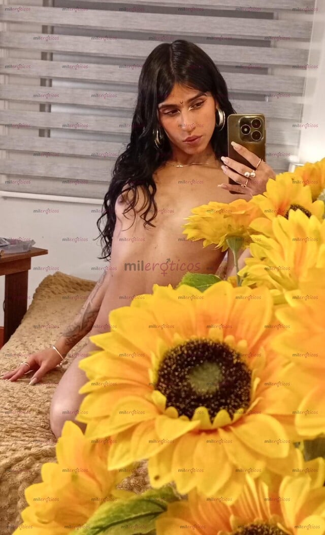 FOTOS DE CHICA TRANS ACTIVA Y FEMENINA, NUEVA EN EL SECTOR, ESCRIBEME PARA MAS INFO!!!