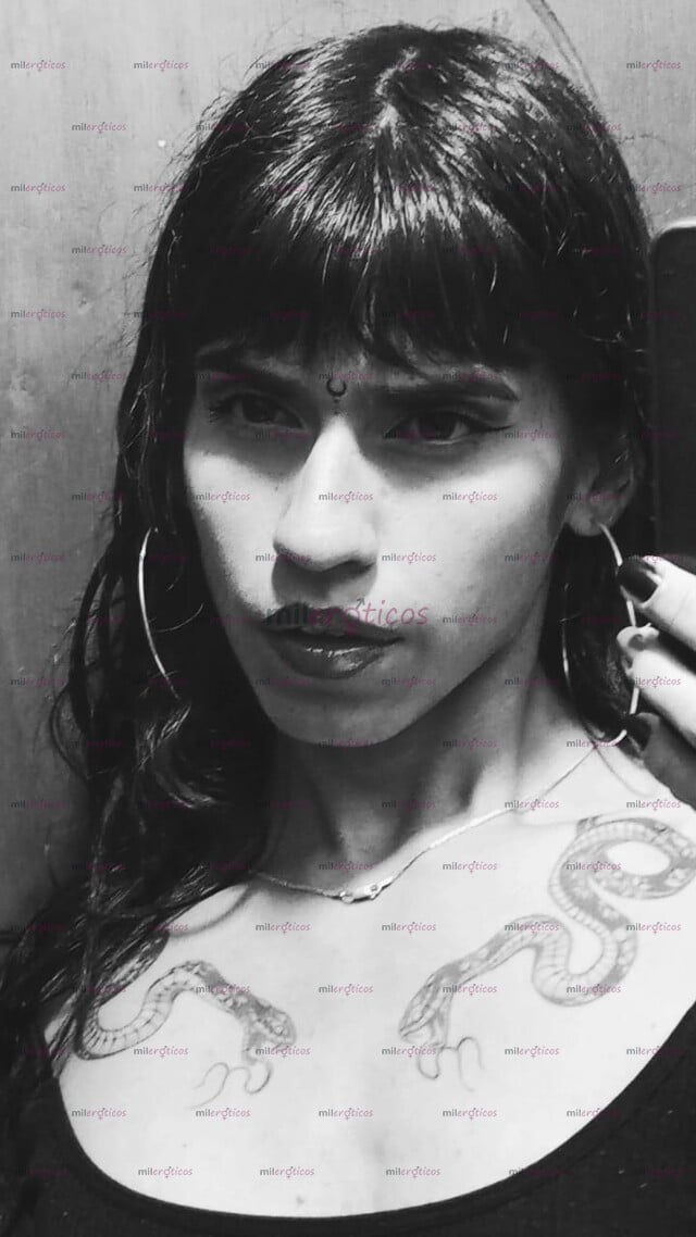 FOTOS DE CHICA TRANS ACTIVA Y FEMENINA, NUEVA EN EL SECTOR, ESCRIBEME PARA MAS INFO!!!