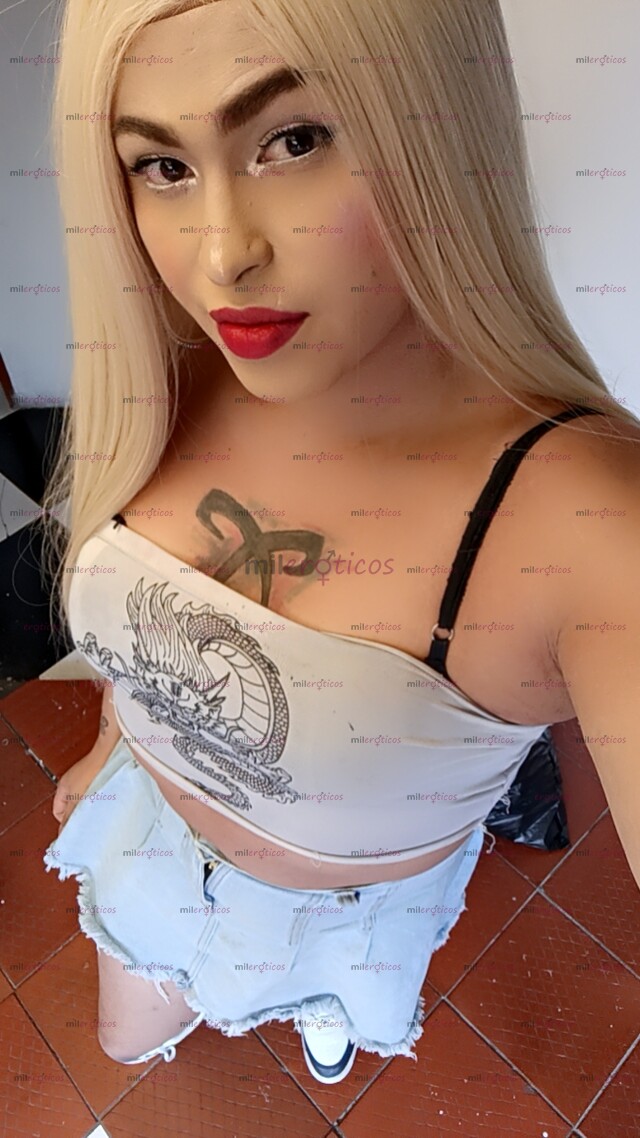 FOTOS DE CHICA TRANS COMPLACIENTE UNA BUENA EXPERIENCIA