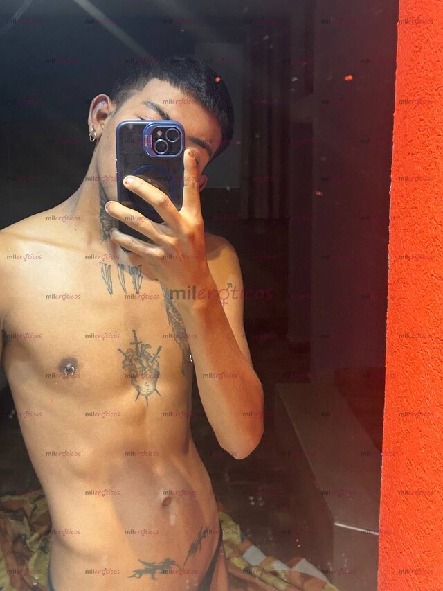 FOTOS DE CHACAL TWINK INTER VERGON 20 CM DISPONIBLE