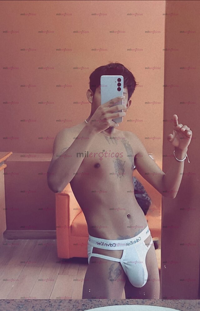 FOTOS DE CHACAL TWINK INTER VERGON 20 CM DISPONIBLE