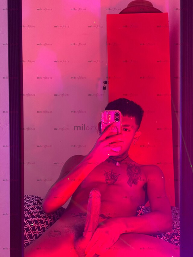 FOTOS DE CHACAL TWINK INTER VERGON 20 CM DISPONIBLE