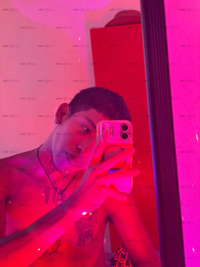 FOTOS DE CHACAL TWINK INTER VERGON 20 CM DISPONIBLE