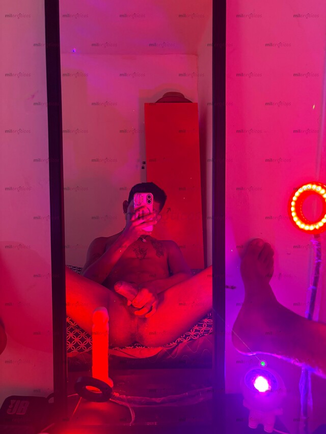 FOTOS DE CHACAL TWINK INTER VERGON 20 CM DISPONIBLE