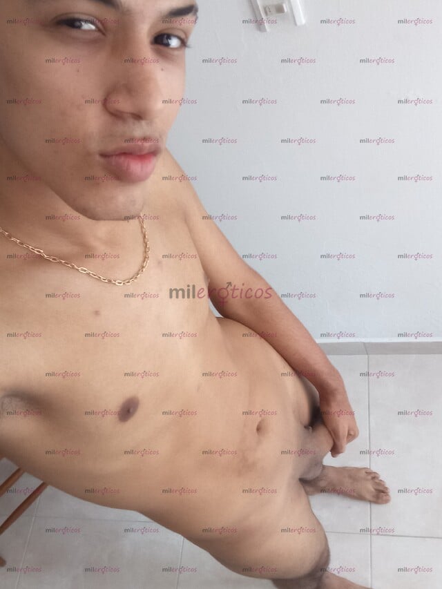 FOTOS DE POLLO VERSÁTIL COMPLACIENTE, DISPONIBLE TAMBIÉN HAGO SERVICIO A DOMICILIO
