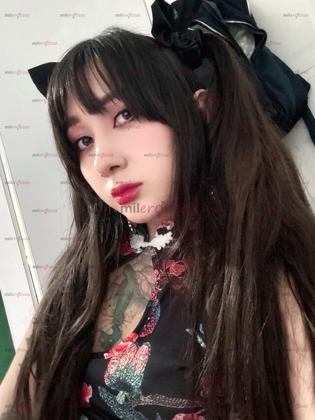 FOTOS DE ELITE SCORT STEFANY WAIFU KAWAII DE NUEVO EN TU CIUDAD