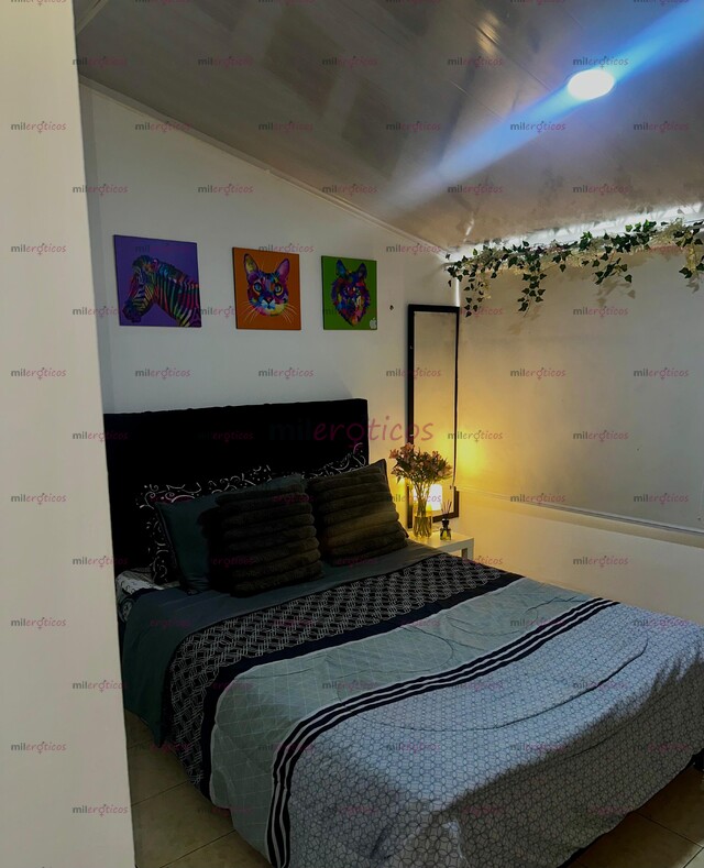 FOTOS DE SITIO NORTE BOGOTÁ, COMODO, DISCRETO, SEGURO, DISPONIBLE