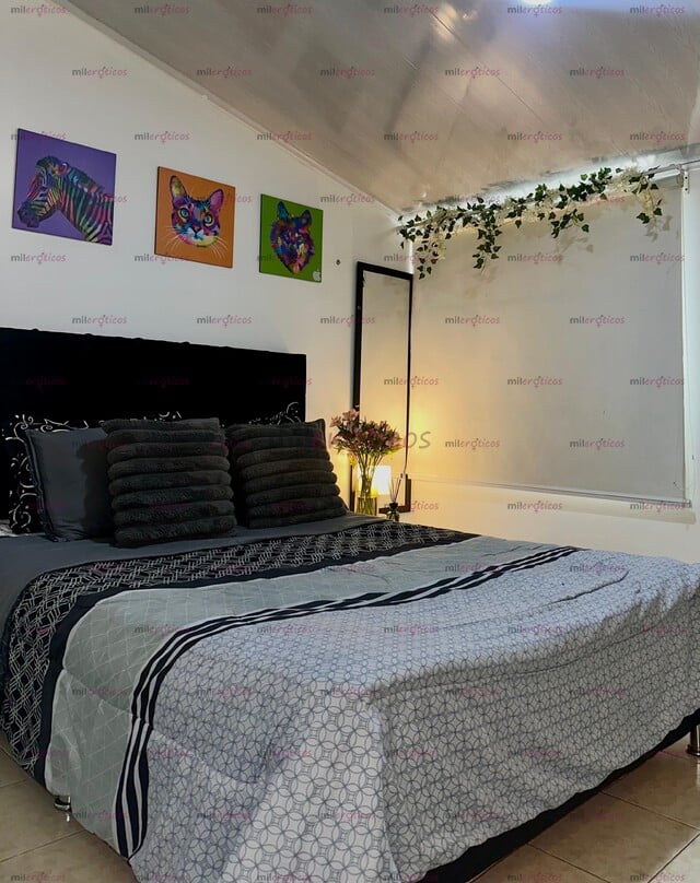 FOTOS DE SITIO NORTE BOGOTÁ, COMODO, DISCRETO, SEGURO, DISPONIBLE