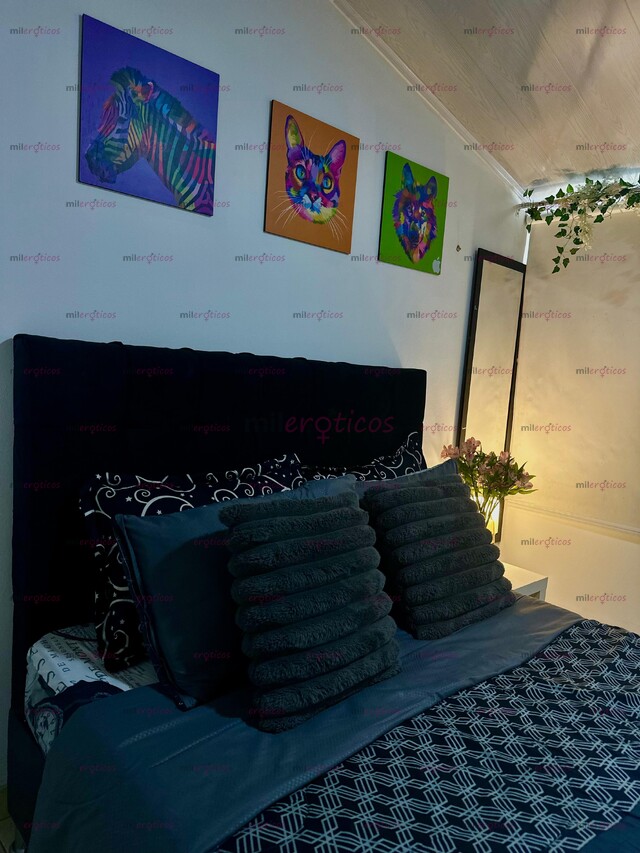 FOTOS DE SITIO NORTE BOGOTÁ, COMODO, DISCRETO, SEGURO, DISPONIBLE