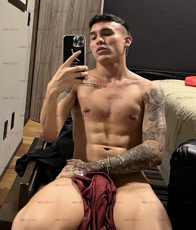 FOTOS DE POLLO VERSÁTIL CALIENTE NUEVO EN TU CIUDAD