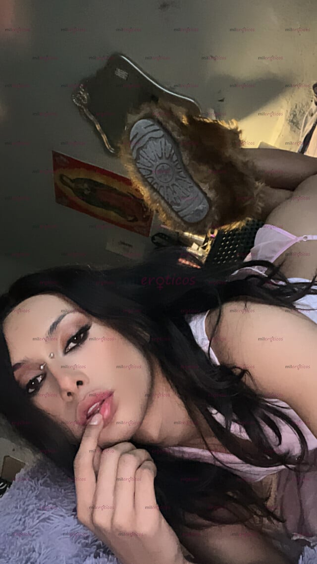 FOTOS DE LA MAMBA NEGRA LINDA TRANS ESCORT Y DAMA DE COMPAÑÍA