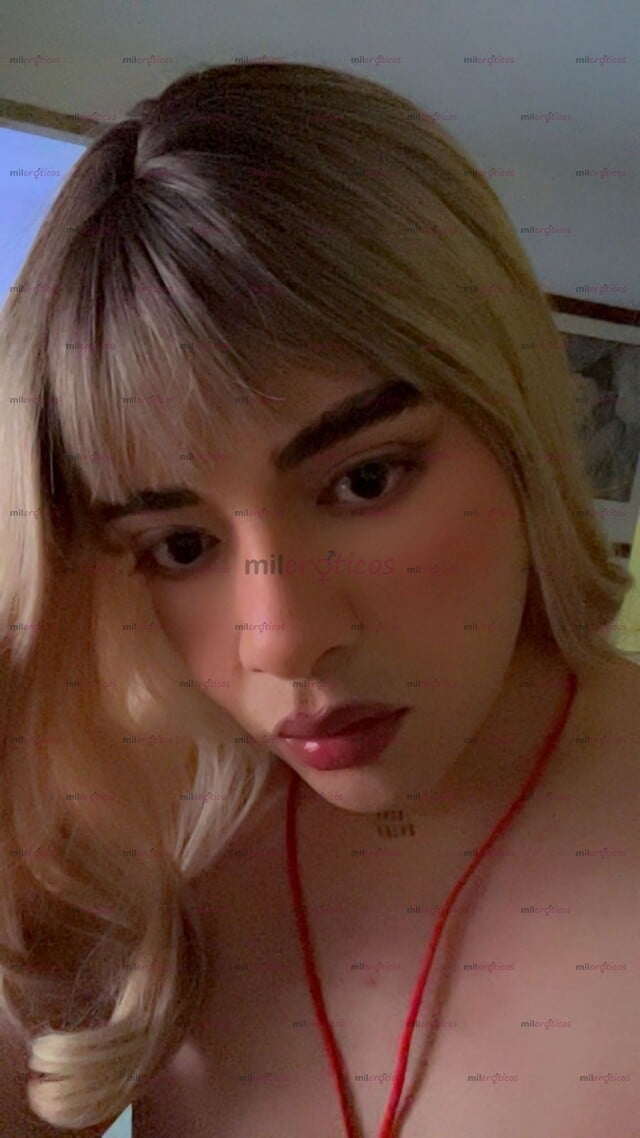 FOTOS DE CATALEYA CHICA TRASVESTI NUEVA NALGONA Y SUPER DISCRETA SERVICIO DE CALIDAD