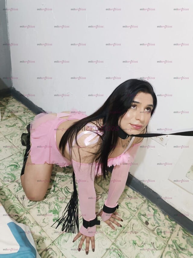 FOTOS DE SERÉ TU PERRITA SUMISA, TRAGONA Y MUY COMPLACIENTE VEN Y CÓMEME EL CULO.