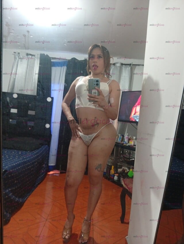 FOTOS DE PERREIRANA 100 NO PIERDAS TU OPORTUNIDAD DE UN EXCEL