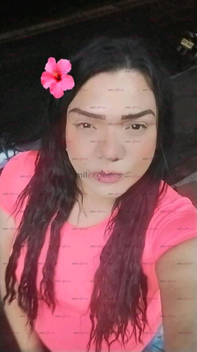 FOTOS DE HOLA SOY UNA CHICA TRANS HUMILDE Y SENCILLA CONTACTAME Y VERÁS LOS RESULTADOS