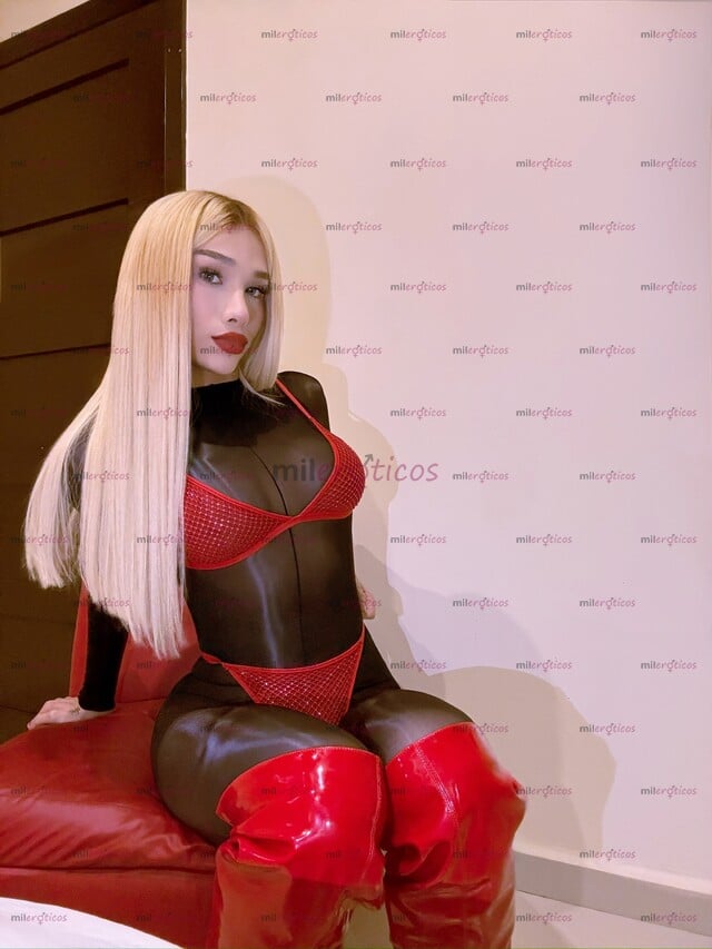 FOTOS DE NENA TRANS CON 20 CTM DE VERGA REALES QUIERES CULO Y VERGA SOY TU MEJOR OPCIÓN
