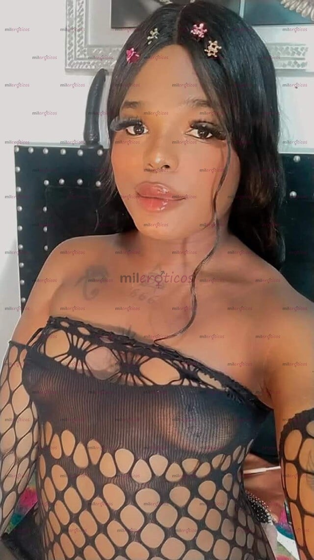 FOTOS DE VERGA NEGRA LECHERA Y AGUANTADORA EN CALI LÓPEZ PARA LAS PERRAS SOLVENTES