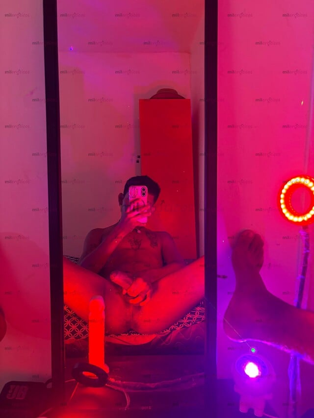 FOTOS DE CHACAL TWINK INTER VERGON 20 CM DISPONIBLE