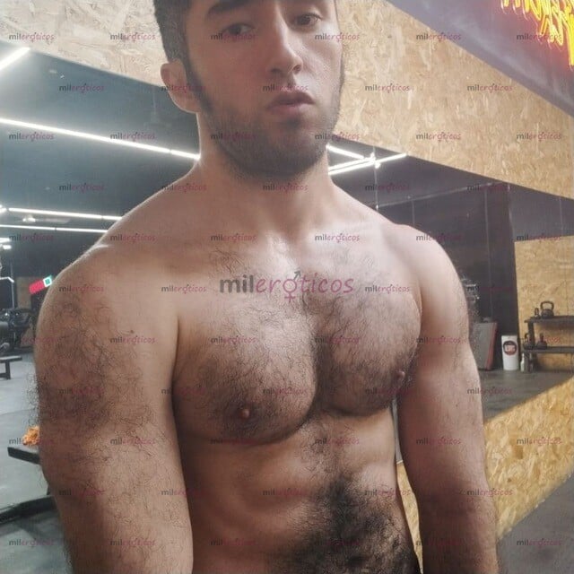 FOTOS DE PELUDO, ATLÉTICO Y VARONIL PARA COMPLACERTE