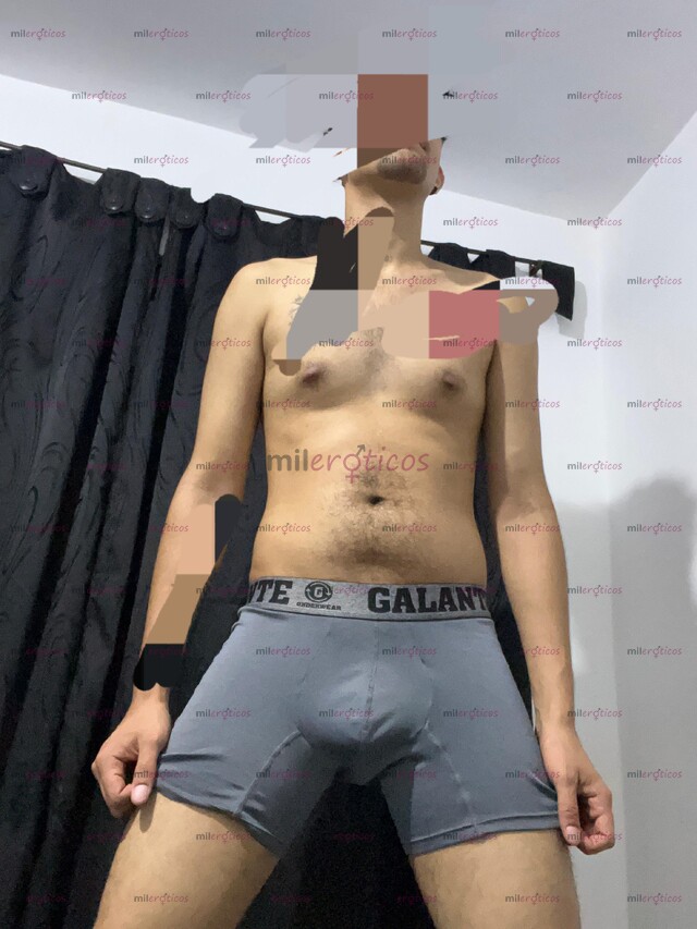 FOTOS DE DOMICILIO FLAQUITO POLLO VERSATIL, COMPLACIENTE AGUANTADOR DISPUESTO