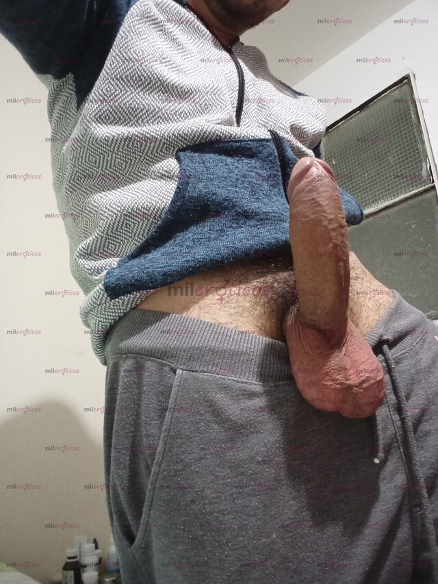 FOTOS DE ACTIVO VERGON 23 CM SERIO LECHERO BOGOTÁ