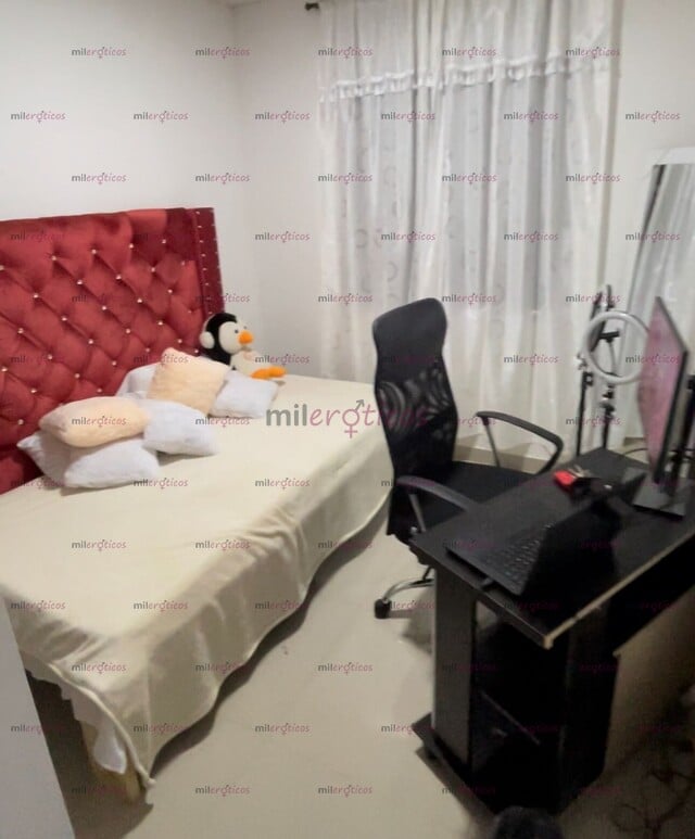 FOTOS DE ALQUILER DE HABITACIONES EQUIPADAS PARA STREAMING Y WEBCAMS