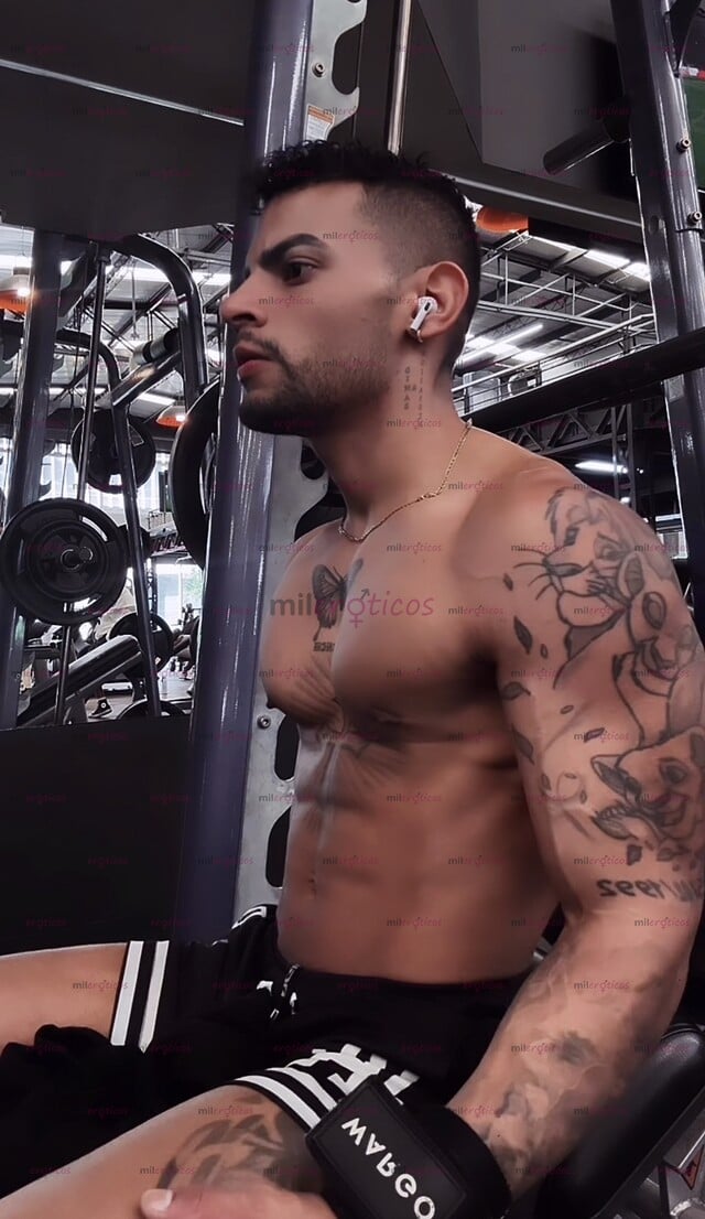 FOTOS DE MORENO TATUADO FIT 20 CM SCRT INTERNACIONAL DE PASO TÚ MEJOR OPCIÓN LECHERO