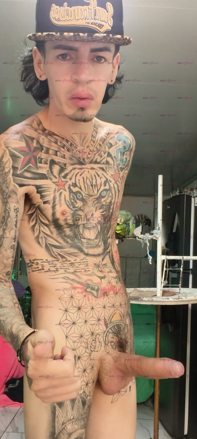 FOTOS DE FLACO VERGON TATUADO BLANCO ACTIVO RESERVADO