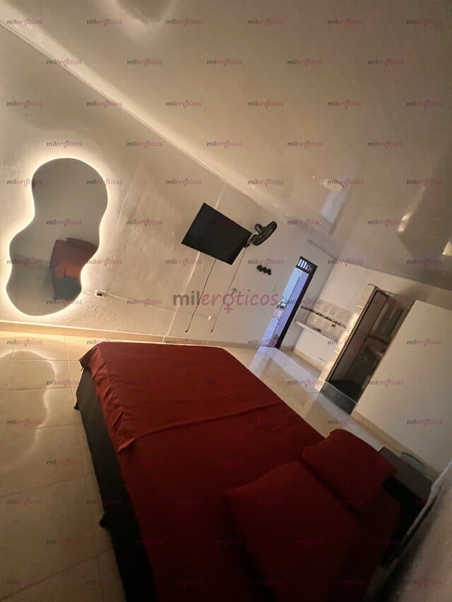 FOTOS DE HABITACIONES AMOBLADAS PARA TUS CLIENTES