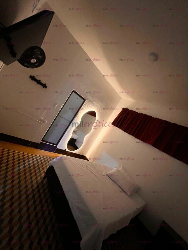 FOTOS DE HABITACIONES AMOBLADAS PARA TUS CLIENTES