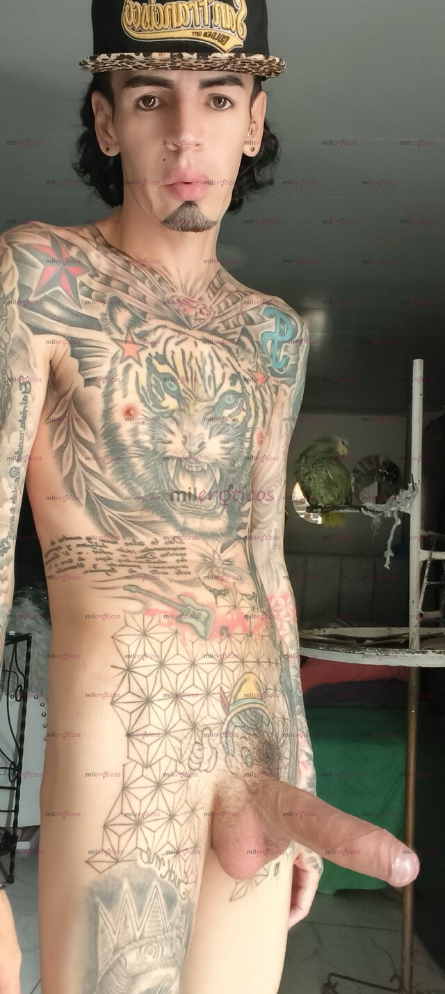 FOTOS DE FLACO ACTIVO VERGON SERIO BLANCO TATUADO