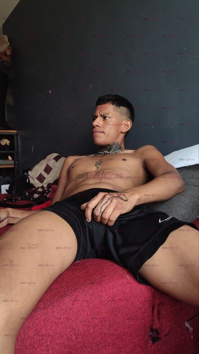 FOTOS DE CHACAL TATUADO GUAPOXL100% DEBARRIOMEXIXANO