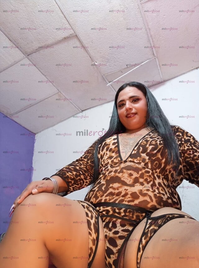 FOTOS DE MÁS PERRA QUE HUMANA SOY LIZMAR UNA CHICA TRANS SÚPER CALIENTE DISPUESTA A COMPL