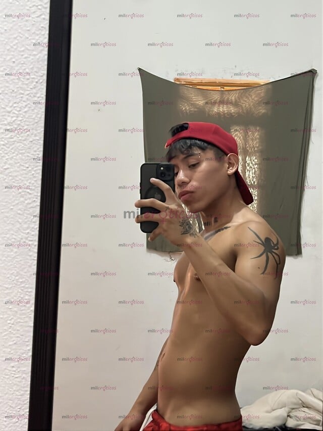 FOTOS DE MORRITO PASIVO COMPLACIENTE Y CERCA DE TI