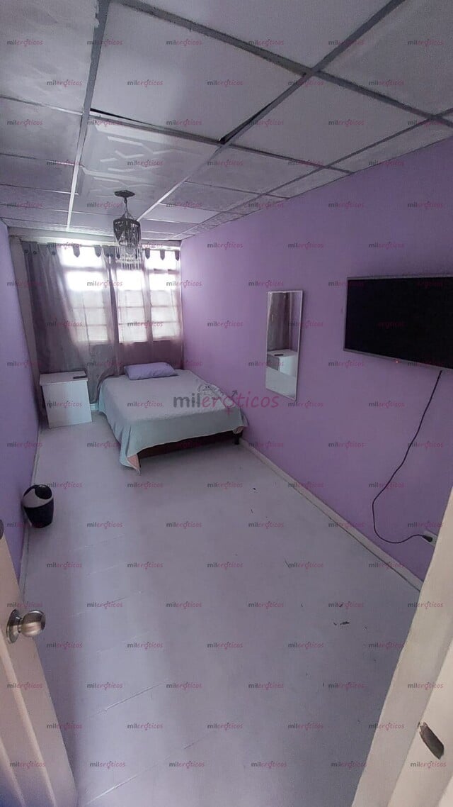 FOTOS DE HABITACIONES PEREIRA CASA NUEVA BUENA ENERGÍA PARA TRABAJAR.
