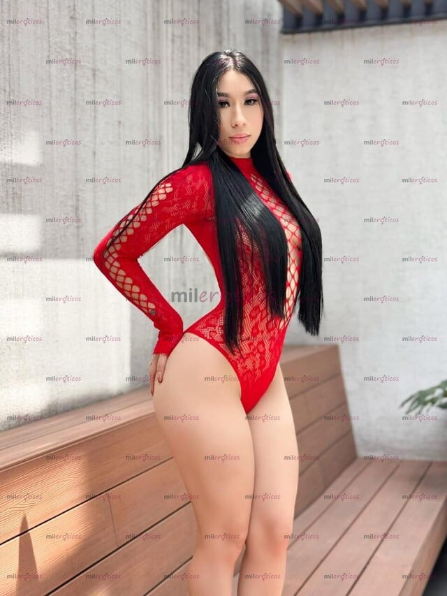 FOTOS DE LLEGA A LA CIUDAD ESCORT EXTRANJERA PARA AVENTURAS