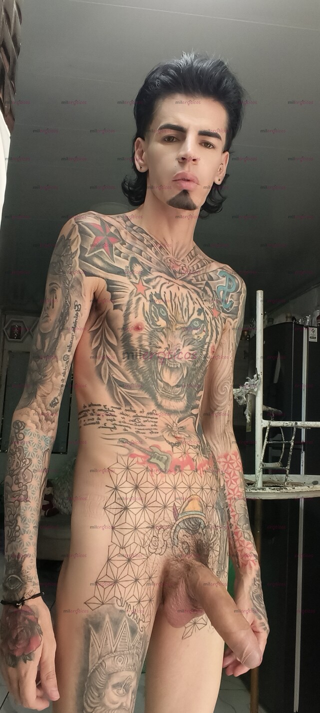 FOTOS DE FLACO ACTIVO VERGON TATUADO BLANCO MORBOSO
