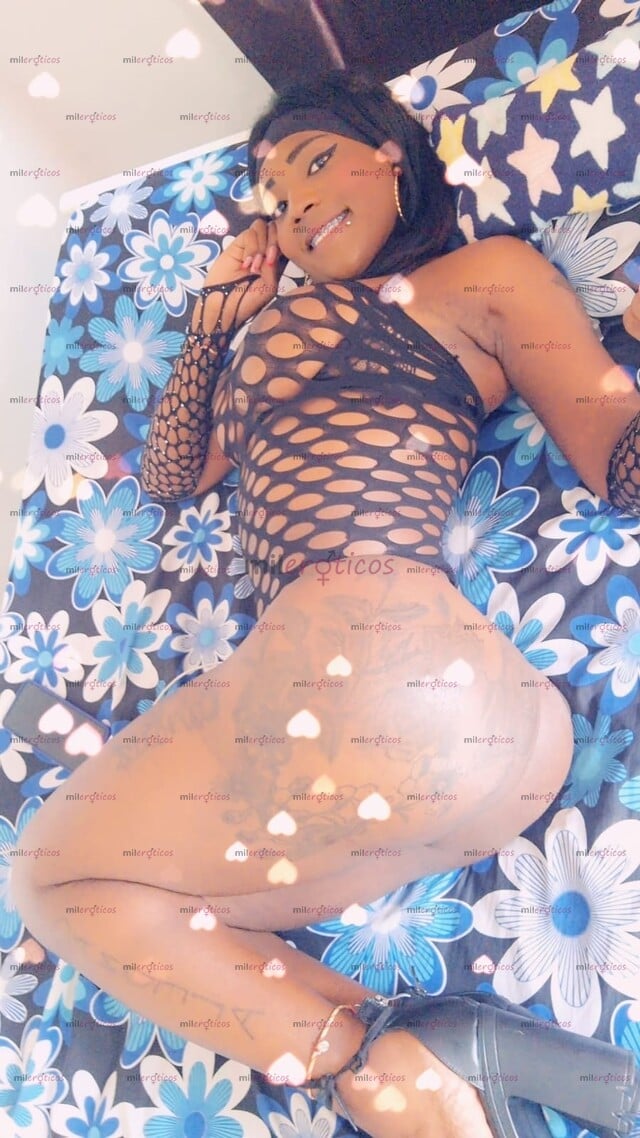 FOTOS DE MAMO VERGA AL NATURAL LECHE EN BOKA DISPONIBLE 24 HORAS BB