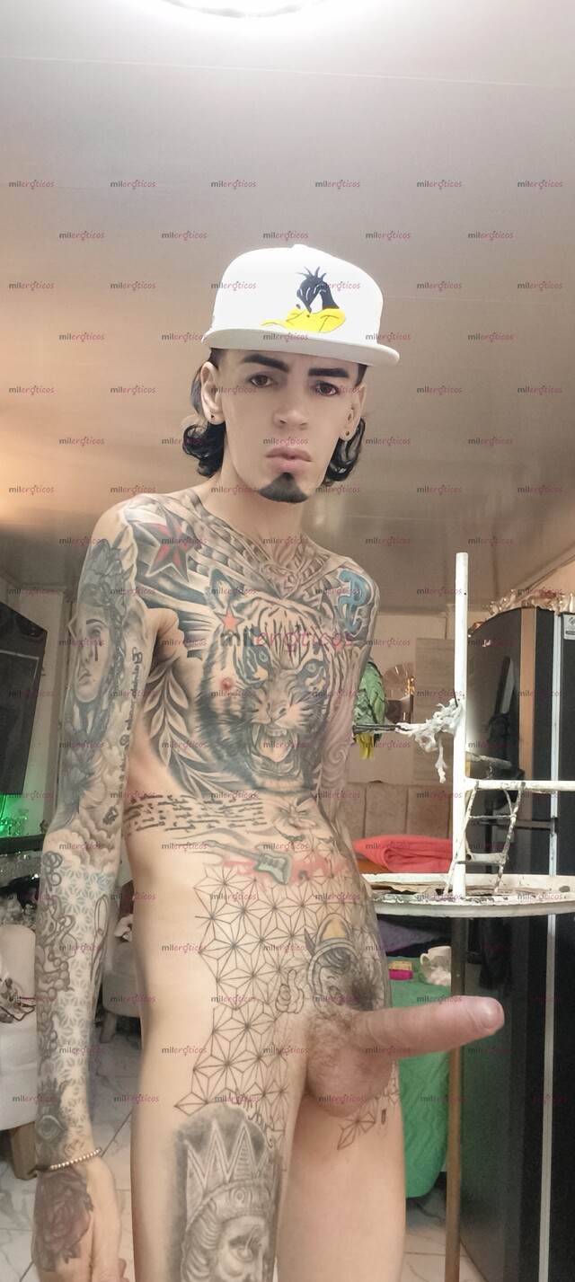 FOTOS DE FLACO ACTIVO VERGON TATUADO BLANCO MORBOSO