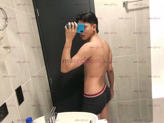 FOTOS DE VENTA DE CONTENIDO POLLO LECHERO COMPLACIENTE