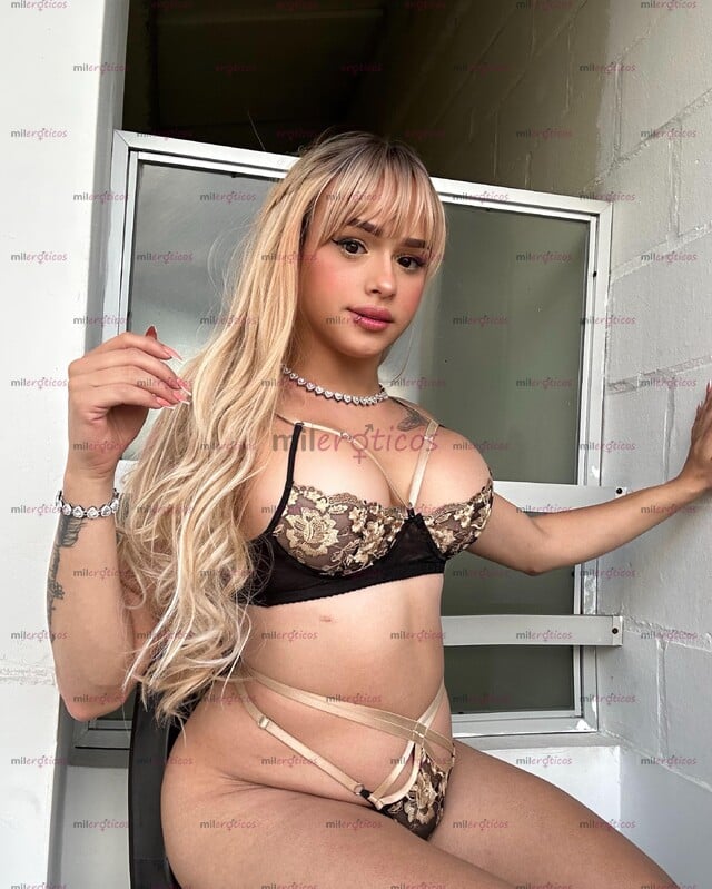 FOTOS DE TRANS CONTENIDO SERVICIO VIRTUALES Y MUCHO MÁS POCOS DÍAS VAMOS HACERLA REAL
