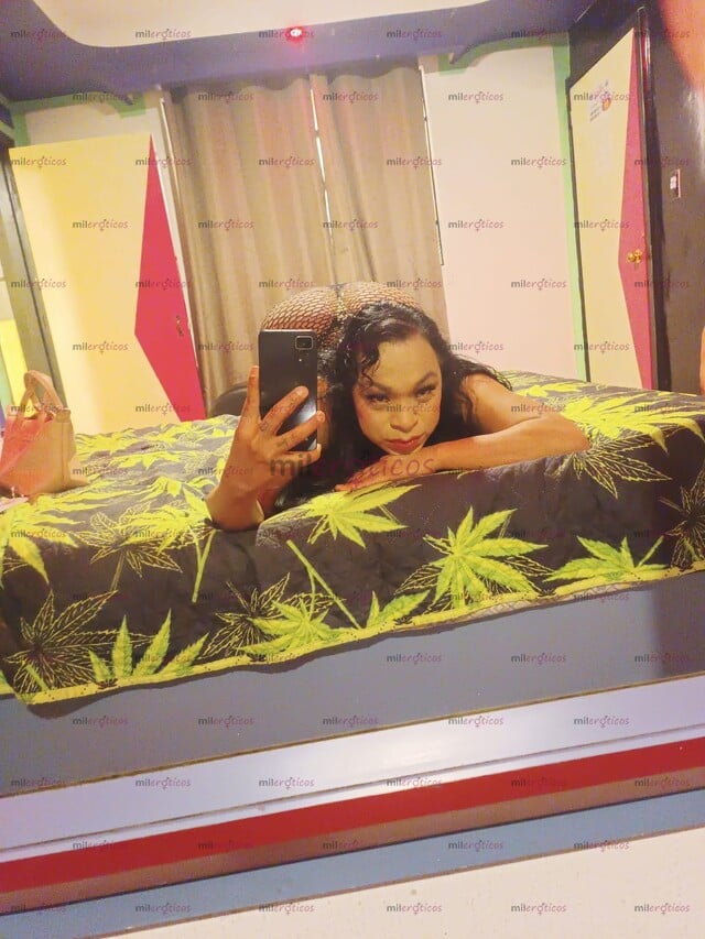 FOTOS DE AYLIN, CHICA, TRANS DE 31 CACHODA Y CALIENTE EN TU CIUDAD