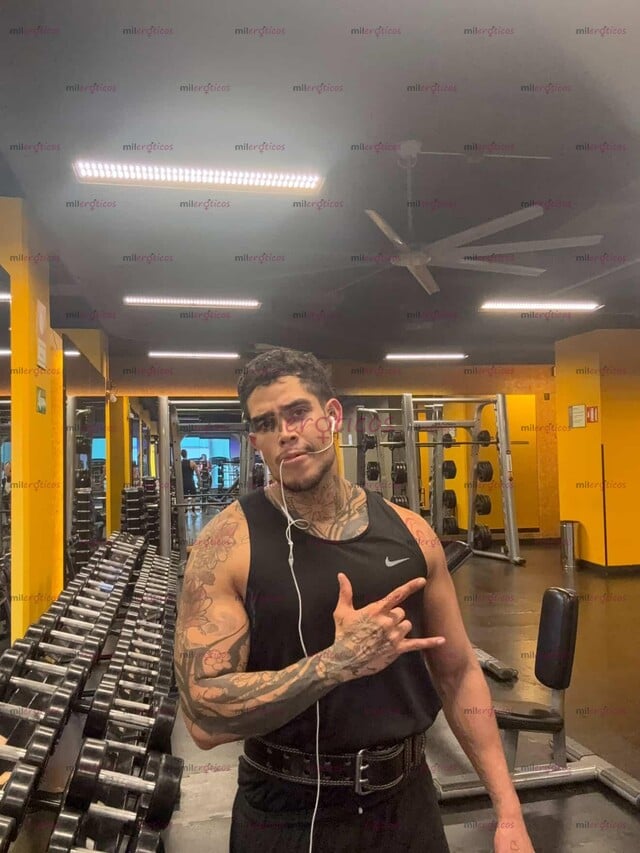 FOTOS DE MACHO VERGON DOMINANTE VERGON 20 CM DISPONIBLE
