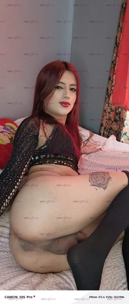 FOTOS DE POLLITA ARDIENTE FEMENINA EDUCADA 3506418078 DESCOMPLICADA ORAL AL NATURAL VERSA