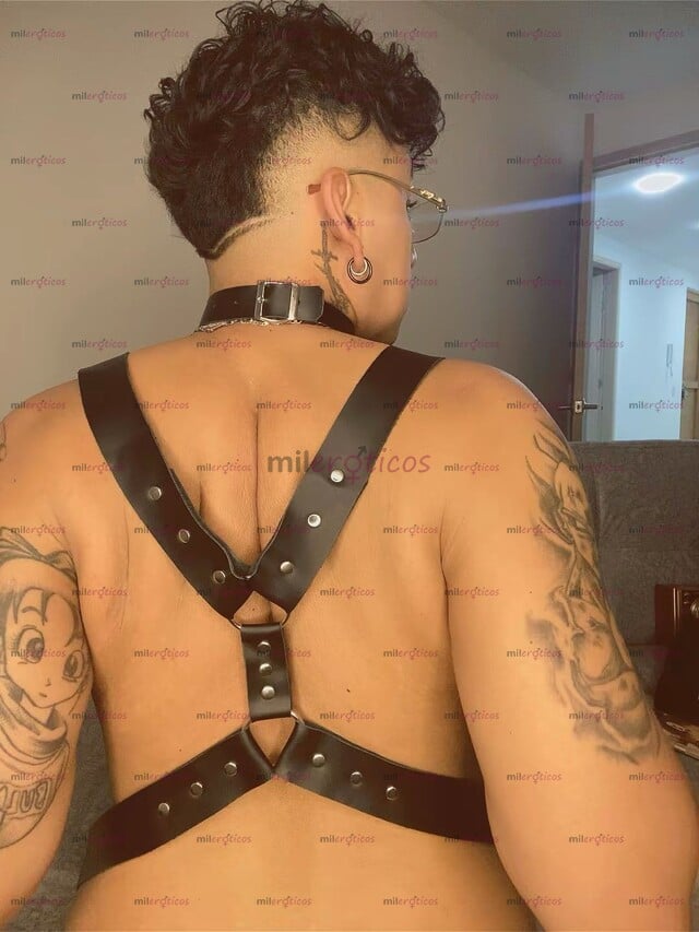 FOTOS DE ANDRÉS FULL EXPERTO EN PRINCIPIANTES Y CASEROS SITIO, DOMI Y MÁS VERSÁTIL FULL