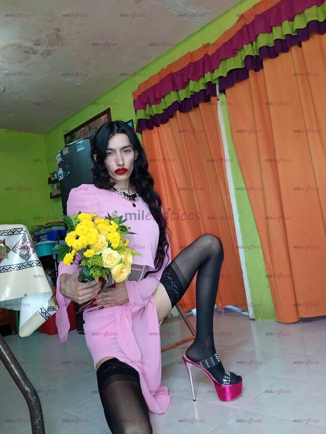 FOTOS DE EXITADA. ACTIVA Y PASIVA ME DESEMPEÑO EN EL ROL SEXUAL QUE ME DIGAS. EN MOTELES